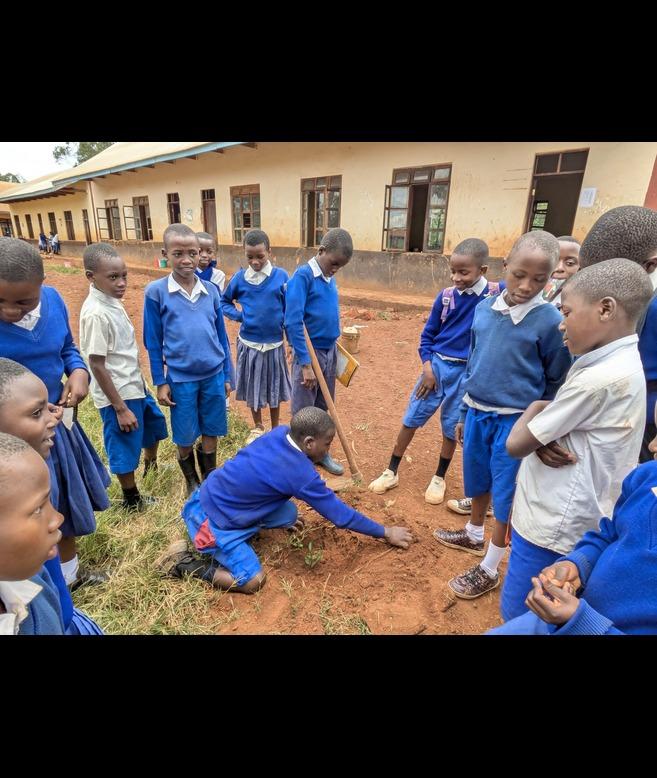Watoto Salama Foundation  Introducing Young Children to the Green Economy